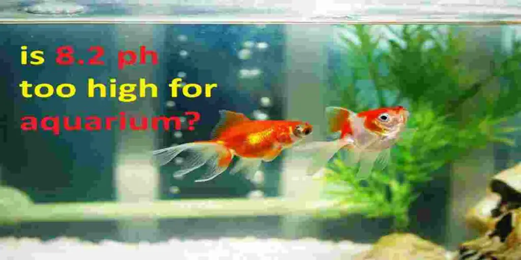 causes pH to drop in aquarium