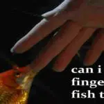 put my finger in my fish tank